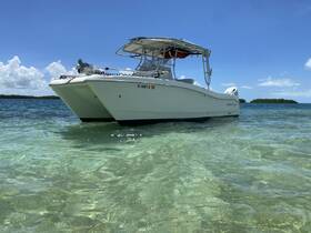 A sleek catamaran rests in shallow, clear waters, showcasing its elegant design against a backdrop of blue skies and distant greenery — perfect for a day of exploration on the water.