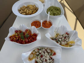 A delicious spread of snacks including salsa, guacamole, and ceviche, perfect for enjoying on a boat trip.