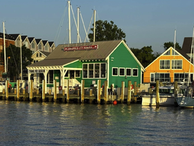 A view of the Annapolis City Marina with colorful buildings and boats, showcasing a vibrant waterfront atmosphere.