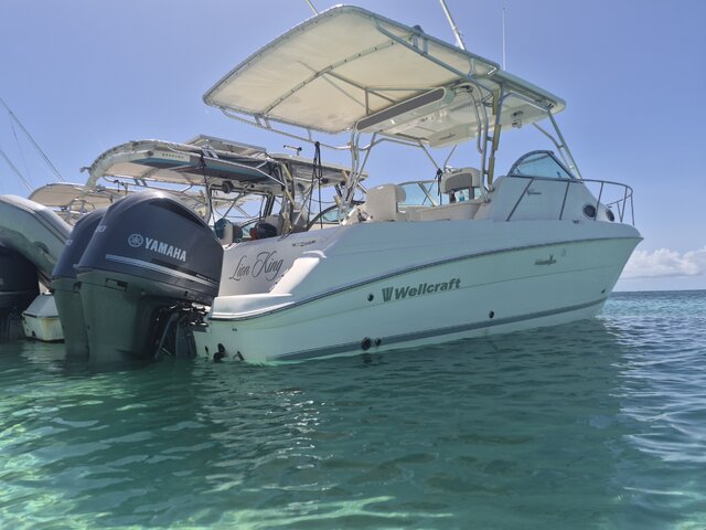 Listing image 1200263