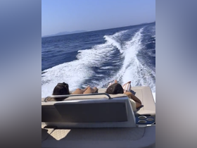 Charter Image