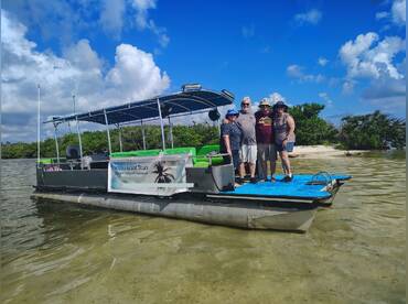 Dolphin Island Tours