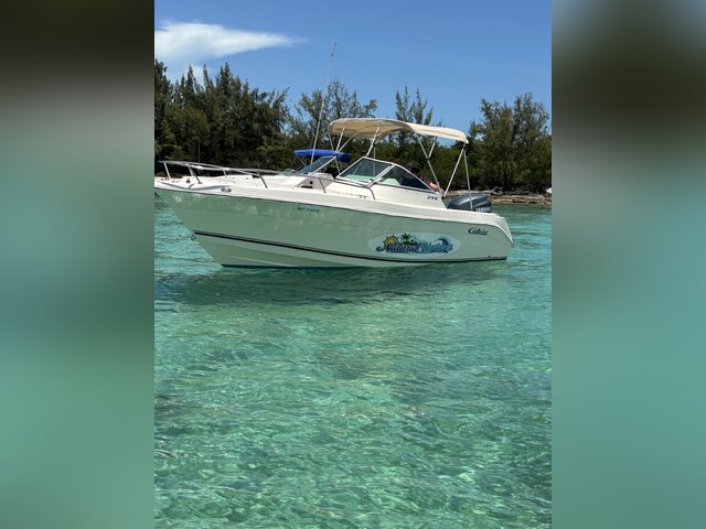 Listing image 1193948