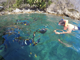 A snorkeler explores vibrant underwater life in clear waters, showcasing the excitement of marine adventures and group activities.