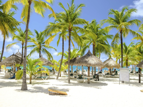 A vibrant beach scene featuring palm trees and thatched umbrellas, with guests enjoying the sunny atmosphere — a perfect destination for relaxation and fun in the sun.