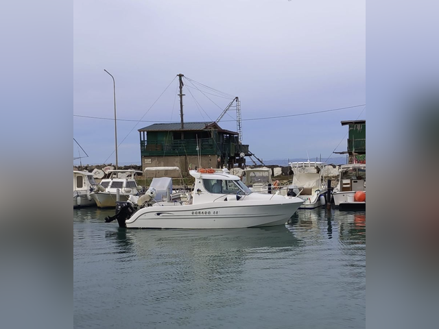 Listing image 1195498
