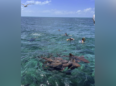 Bleasean Sea Escapes