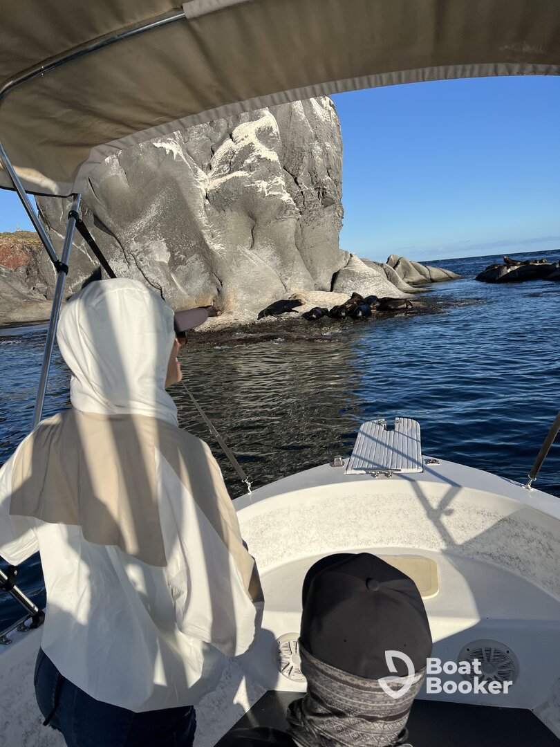 Loreto Island Adventures – Bajamar