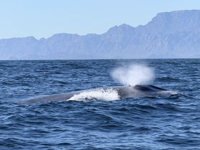 Charter Image