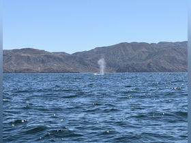 Charter Image