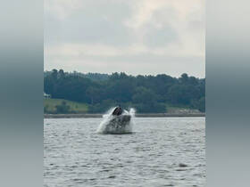 Charter Image