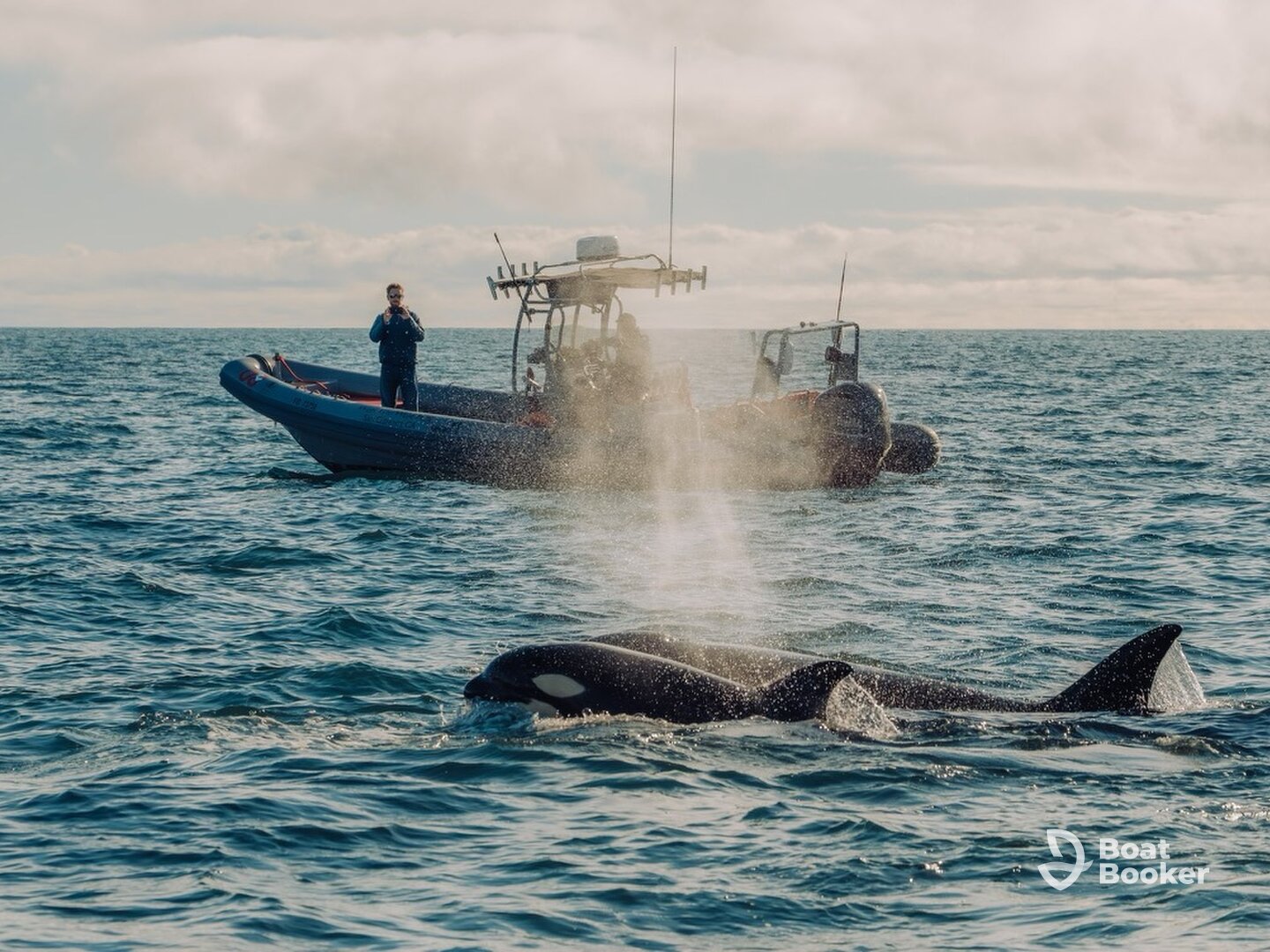 Off The Grid Ocean Adventures