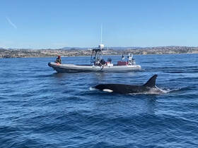 Charter Image