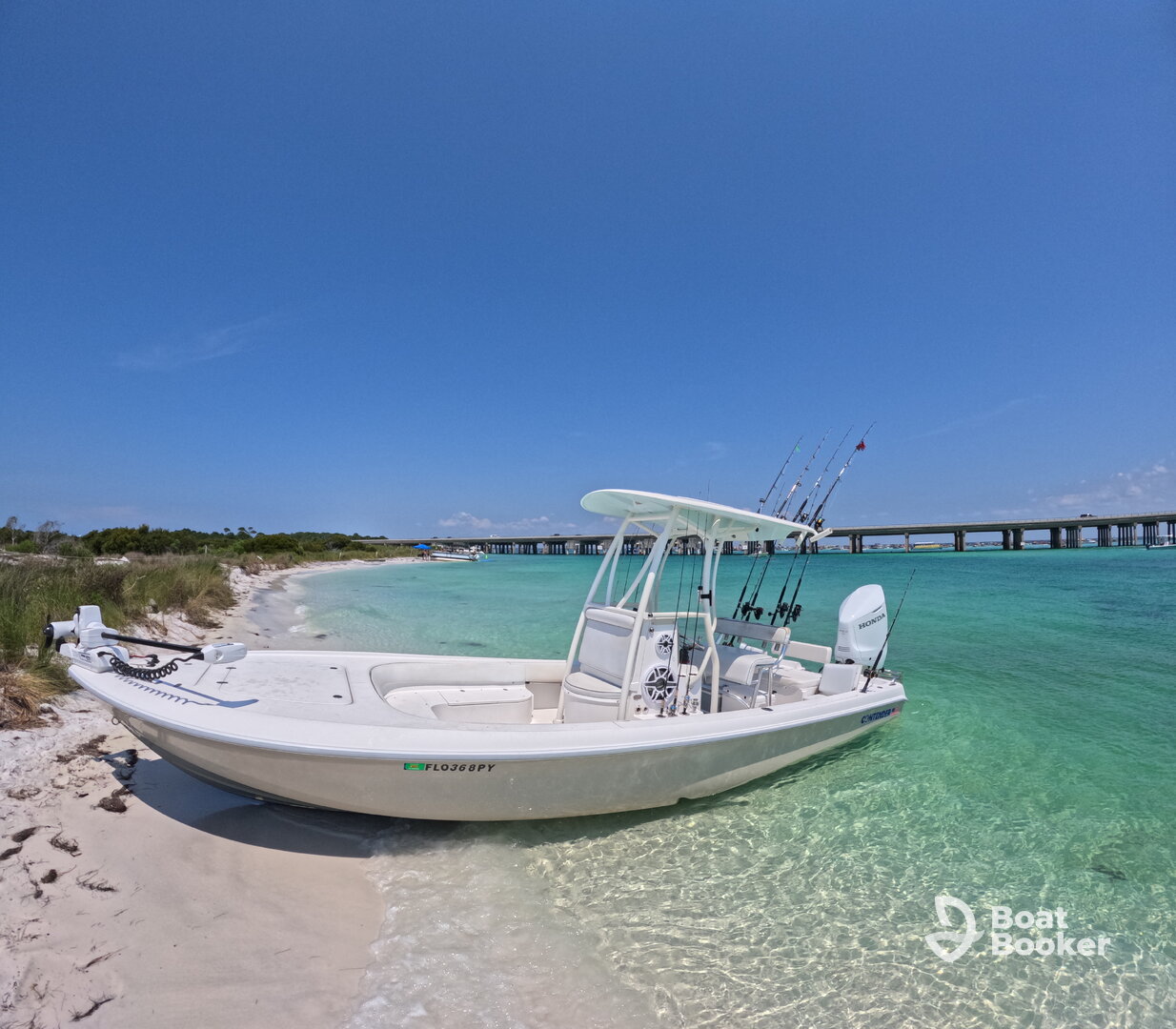 Reel Job Charters