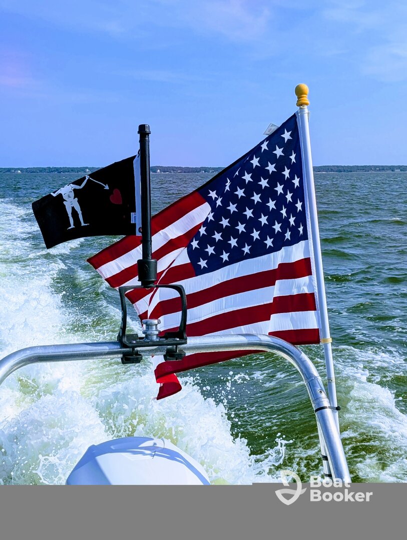 Tooned Up Boat Tours