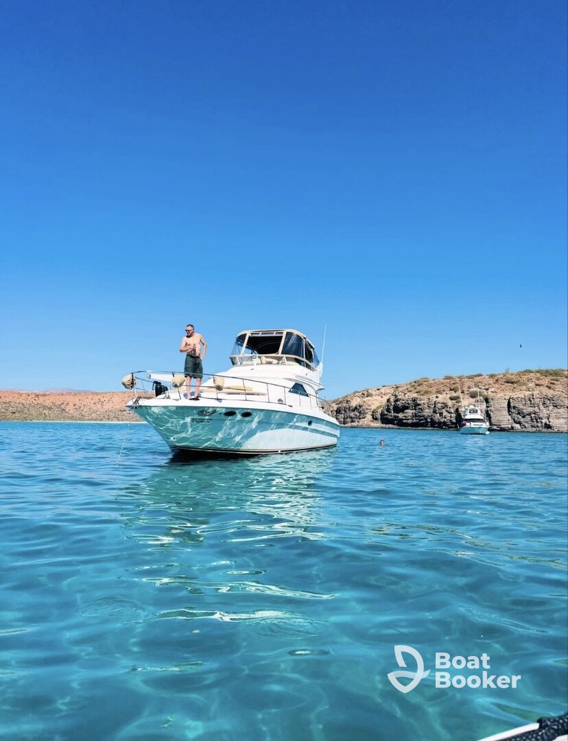 Sea Ray 42 MC Yachts Company
