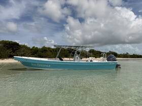 A clear view of a 'Sea Lifestyle' boat docked in shallow waters, surrounded by lush greenery and a serene sky, perfect for exploring coastal destinations.