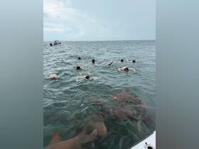 A group of snorkelers explores the waters, encountering sharks below — an exhilarating adventure in marine wildlife.