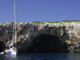 Charter Image