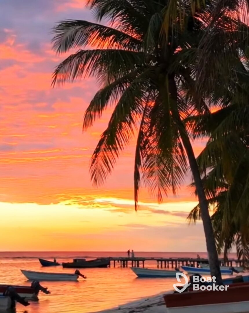 Private Saona day or night tour ( optional)