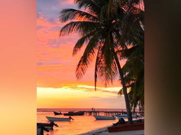 Private Saona day or night tour ( optional)