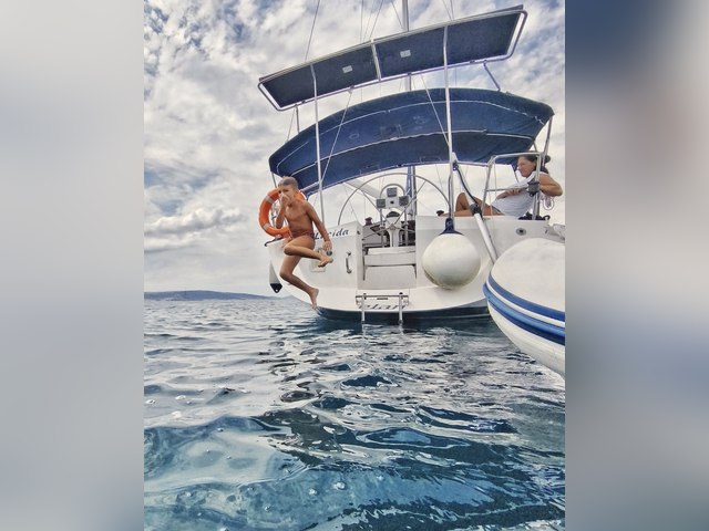 Listing image 1195413