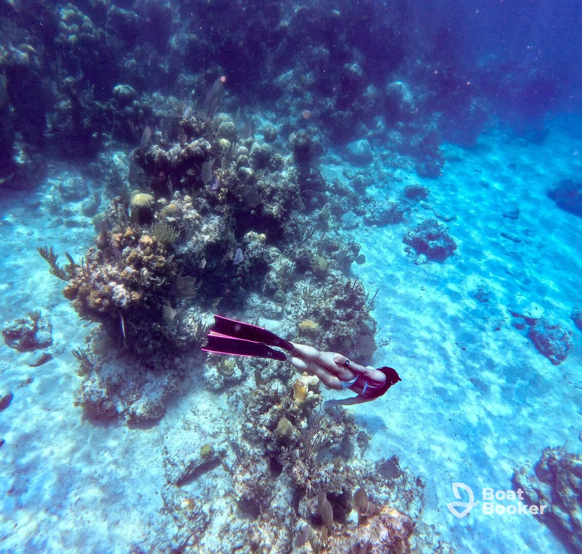 Seacret Treasure Excursions