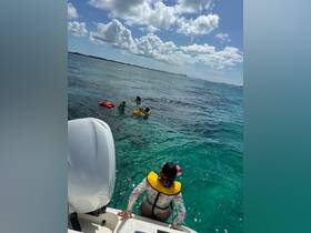 A group enjoys snorkeling in the clear turquoise waters, showcasing a fun day of aquatic adventure and exploration.
