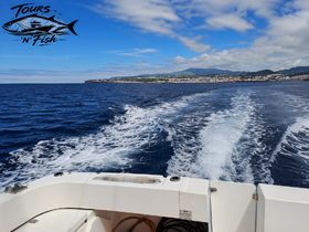A scenic view from a boat cruising along the coastline, showcasing the beautiful ocean and land in the background — perfect for tours and fishing adventures.
