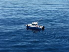 A speedboat navigates through calm blue waters, showcasing its sleek design and fishing gear, perfect for a day of adventure on the sea.