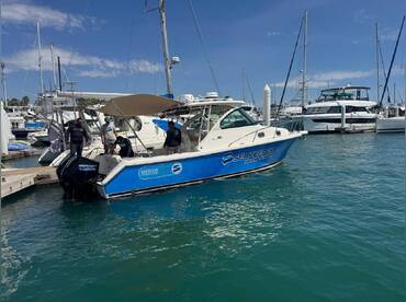 Persuit P315 – MC Yachts Company