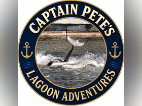 A playful dolphin splashes in the water, showcasing its tail during a lagoon adventure — a captivating wildlife encounter.