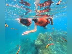 Two snorkelers explore vibrant underwater life, surrounded by colorful fish in crystal-clear waters — an unforgettable snorkeling adventure.