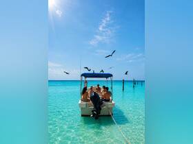 A lively group enjoys a sunny day on a boat in crystal-clear turquoise waters, surrounded by seabirds — perfect for a fun day out on the water.