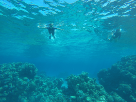 Two snorkelers explore vibrant coral reefs underwater, showcasing the beauty of marine life — a perfect adventure for ocean enthusiasts.