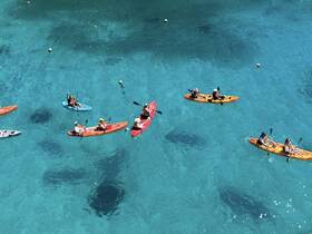 A vibrant group of kayakers paddles through crystal-clear waters, showcasing the fun and adventure of on-water activities in a picturesque setting.