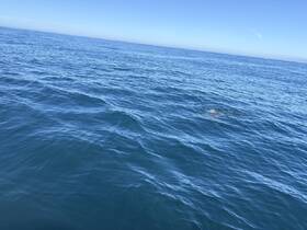 An unclear image of the ocean surface, lacking identifiable subjects or details.