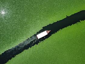 Aerial view of a boat navigating through a lush green waterway, showcasing the vibrant aquatic vegetation surrounding it.