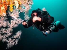 A diver explores vibrant coral formations underwater, showcasing the beauty of marine life and the thrill of scuba diving adventures.