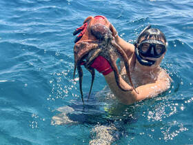 A snorkeler proudly holds an octopus in the clear blue waters, showcasing an exciting underwater encounter with marine wildlife.