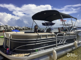 A lively scene featuring a pontoon boat at the beach, with a dog enjoying the sun and guests engaging in fun activities — perfect for family outings and beach days.
