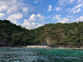 A serene view of a secluded beach surrounded by lush greenery and clear turquoise waters, perfect for nature lovers and beachgoers seeking tranquility.