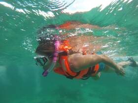 A snorkeler explores the vibrant underwater world, showcasing the excitement of marine adventures in crystal-clear waters.