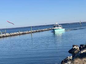 A beautiful boat navigates through calm waters, showcasing its sleek design as it approaches the shoreline.