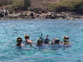 A group of snorkelers enjoys a vibrant underwater adventure, showcasing the fun and excitement of exploring marine life in crystal-clear waters.