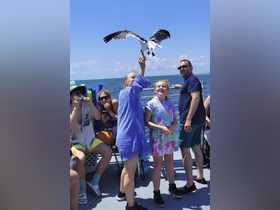 Charter Image