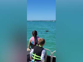 Children excitedly watch a dolphin swimming nearby while enjoying a day on the water — a memorable wildlife encounter in a beautiful marine setting.