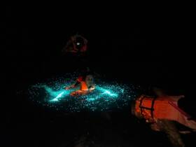A swimmer enjoys a magical night experience in bioluminescent waters, showcasing the beauty of nature under the stars.