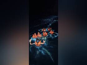 A lively group enjoys a night swim in bioluminescent waters, showcasing the magical glow of the ocean — a unique experience perfect for adventure seekers.