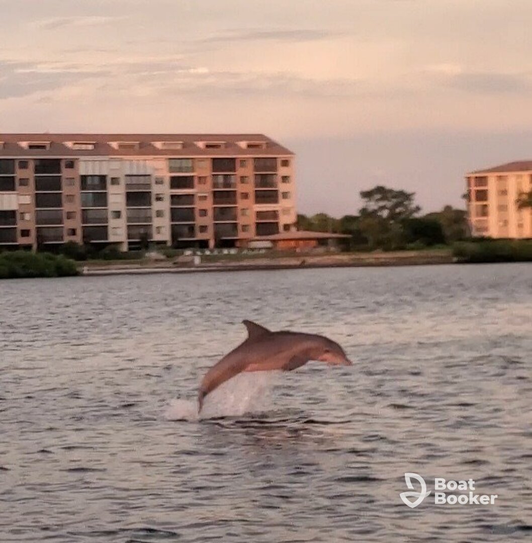 C Dreamer Charters